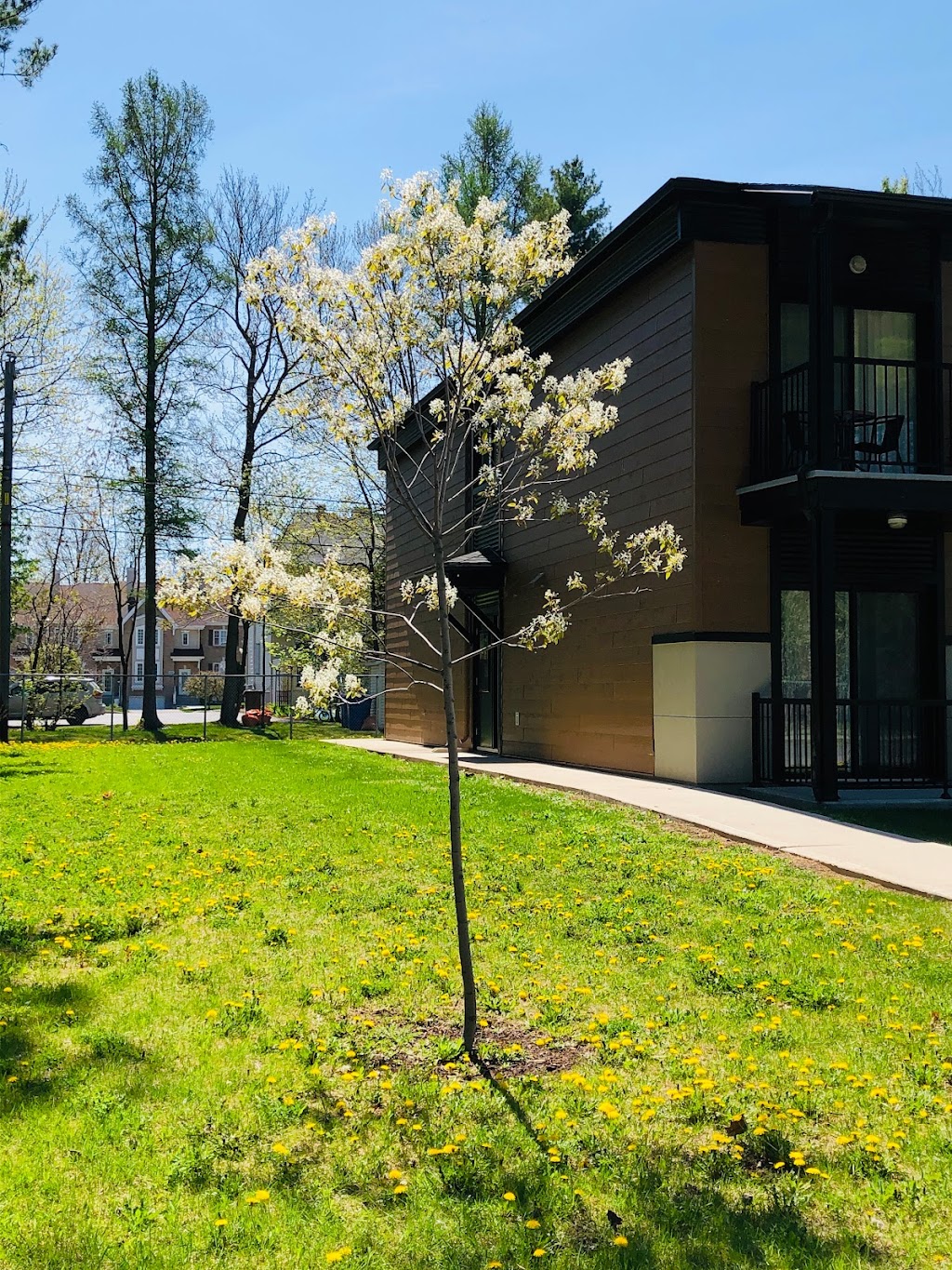 Défis-logis Lanaudière | 105 Rue Marie-Curie, Joliette, QC J6E 0V2, Canada | Phone: (450) 394-4497