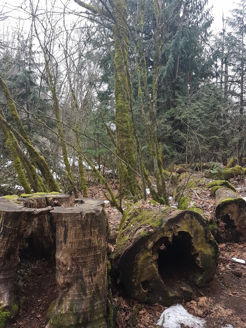 Mt Thom Park | 5778 Jinkerson Rd, Chilliwack, BC V2R 0C8, Canada | Phone: (604) 793-2904