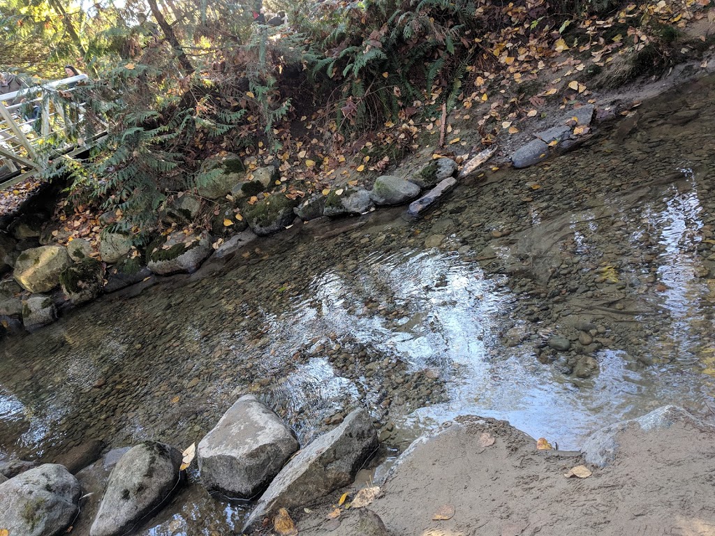 Hyde Creek Watershed Society | 3636 Coast Meridian Rd, Port Coquitlam, BC V3B 0E4, Canada | Phone: (604) 461-3474