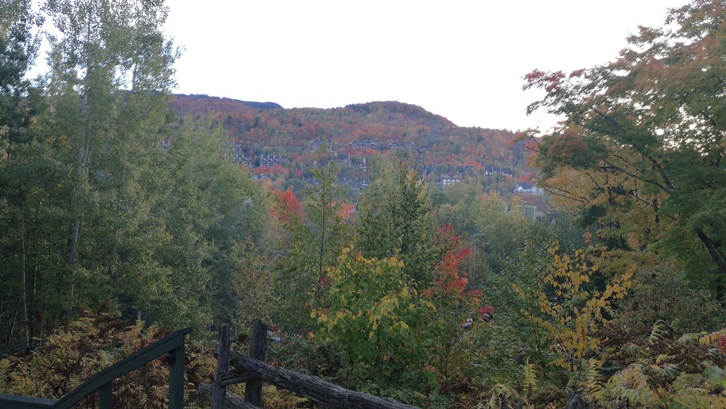 My Tremblant Resort | 108 Chemin des Quatre-Sommets App 3, Mont-Tremblant, QC J8E 1C6, Canada | Phone: (514) 927-6167