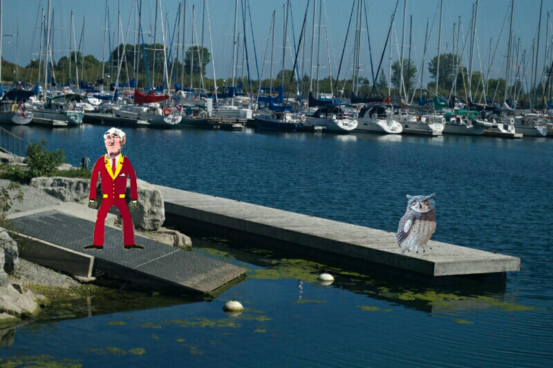 Lakeshore Yacht Club | 76 Colonel Samuel Smith Park Dr, Etobicoke, ON M8V 4B7, Canada | Phone: (416) 255-3701
