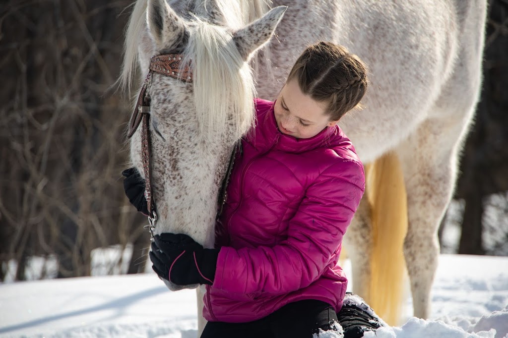 Michael Peitz Custom Photography | 1170 Narrows Rd, Gravenhurst, ON P1P 1R2, Canada | Phone: (226) 568-0474