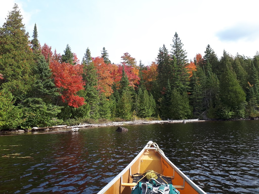 Algonquin Bound Outfitters & Inn | 5280 ON-60, Dwight, ON P0A 1H0, Canada | Phone: (613) 637-5508