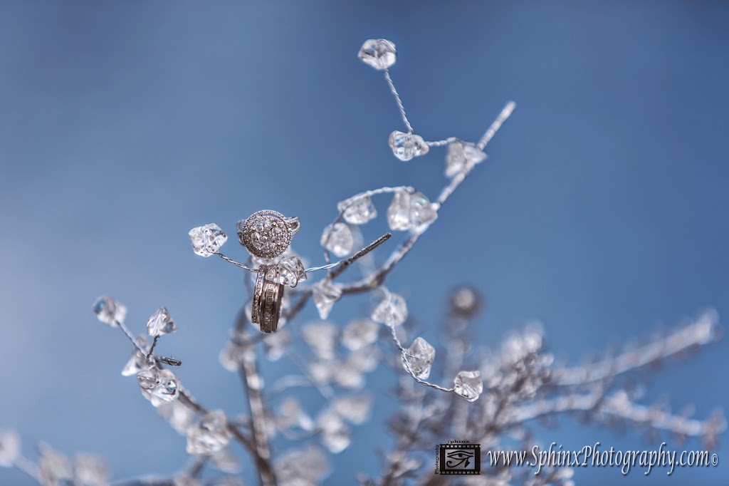 Sphinx Photography | 1534 Rue des Tourterelles, Saint-Lazare, QC J7T 0R2, Canada | Phone: (514) 586-2727