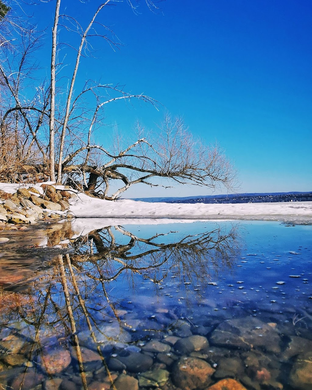 Ottawa River Canoe Club | 1610 Sixth Line Rd, Dunrobin, ON K0A 1T0, Canada | Phone: (613) 850-2628