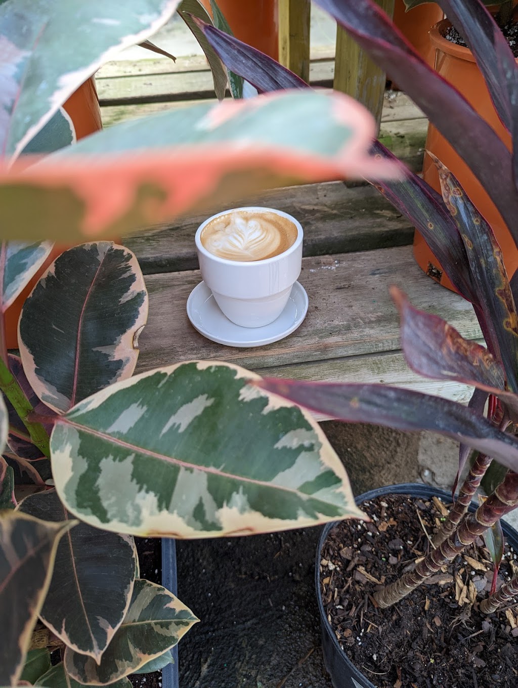 Palms Coffee Bar | 1361 Rice Rd, Welland, ON L3B 5N5, Canada | Phone: (289) 696-9659