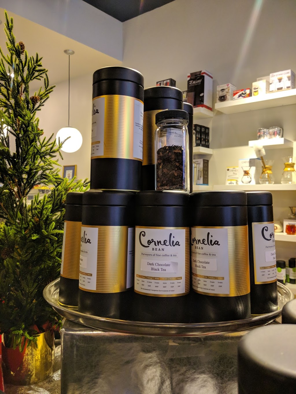 Cornelia Bean | 417 Academy Rd, Winnipeg, MB R3N 0C1, Canada | Phone: (204) 489-5460