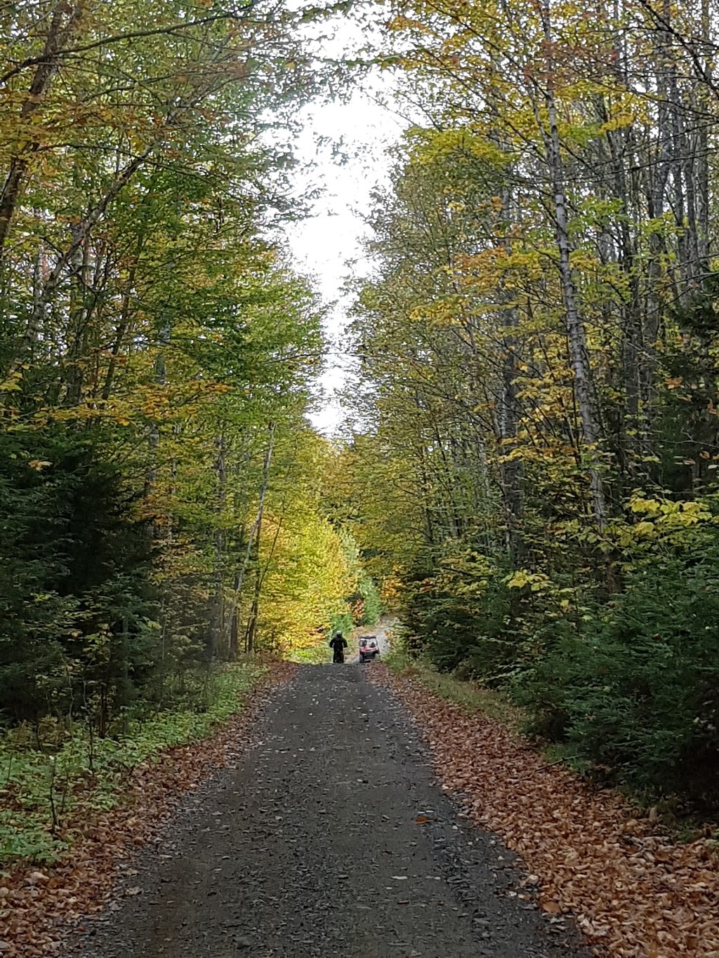 Hartville Quarry (Alva Construction Ltd.) | 783 Ellershouse Rd #769, Ellershouse, NS B0N 1L0, Canada | Phone: (902) 863-6445