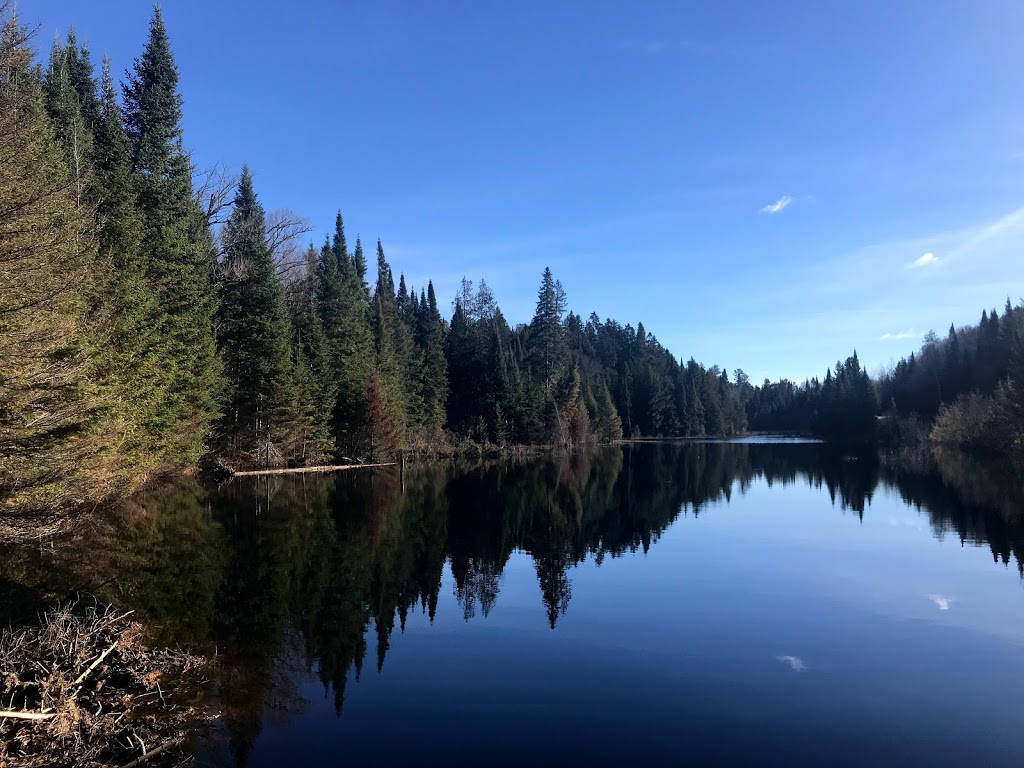 Réserve faunique de Papineau-Labelle | 443 QC-309, Val-des-Bois, QC J0X 3C0, Canada | Phone: (819) 454-2011