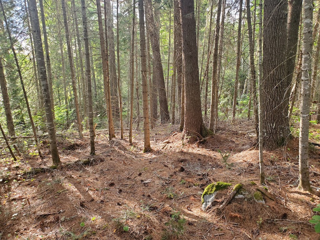 Camping Lac-Rapide | QC-117, La Vallée-de-la-Gatineau, QC J0W 2C0, Canada | Phone: (819) 860-1557