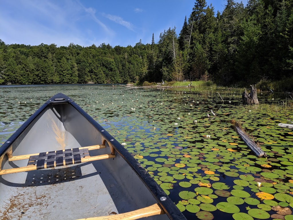 Accueil Gagnon, réserve faunique de Papineau-Labelle | 5000 Chemin du Lac Gagnon O, Duhamel, QC J0V 1G0, Canada | Phone: (819) 428-7510