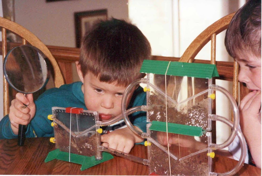 Heart & Home (Cindys) Childcare | 26 Greystone Crescent, Georgetown, ON L7G 1G9, Canada | Phone: (905) 877-1874