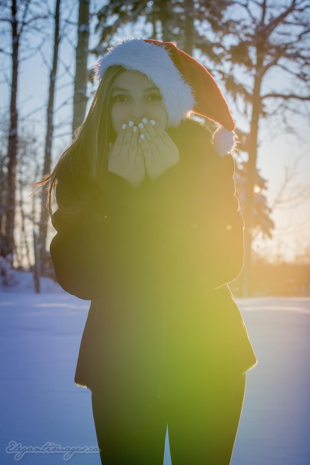 Elegant Images | 31342 Range Road 43A, Didsbury, AB T0M 0W0, Canada | Phone: (403) 617-7280