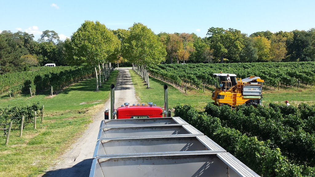 B-Ys Honey Farm | 996 Concession 6 Rd, Niagara-on-the-Lake, ON L0S 1J0, Canada | Phone: (905) 984-4408