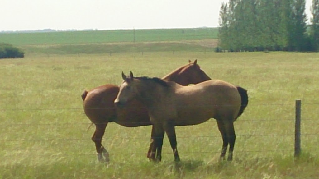 Hitchcocks Hideaway | Lake Diefenbaker, Birsay, SK S0L 0G0, Canada | Phone: (306) 573-4446
