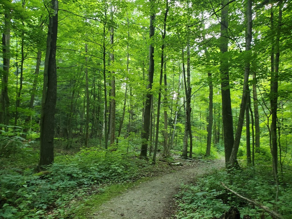 Carlisle Golf Club | 523 Carlisle Rd, Carlisle, ON L0R 1H0, Canada | Phone: (800) 661-4343