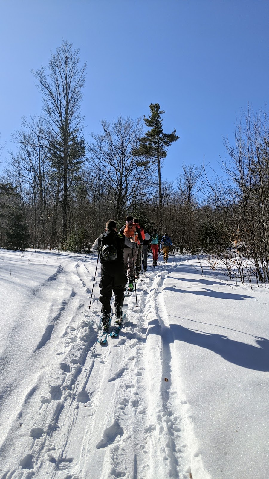 Dacre Heights | 851 Flat Rd, Greater Madawaska, ON K0J 1N0, Canada | Phone: (613) 322-5246