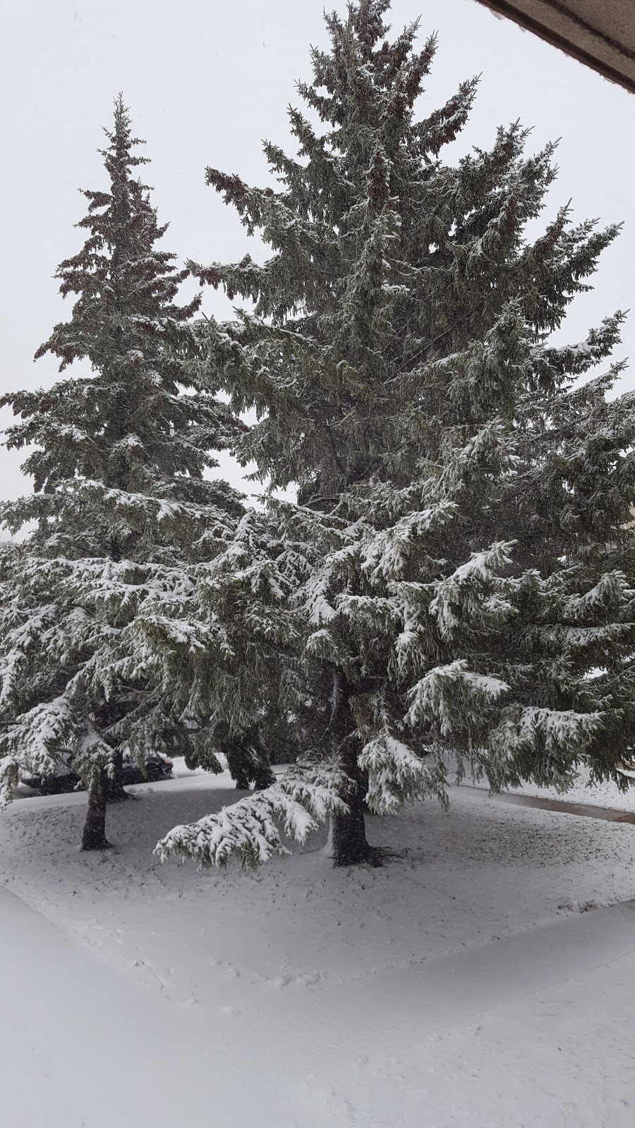 Sidney L. Buckwold Park | Boychuk Dr, Saskatoon, SK S7H 4H6, Canada
