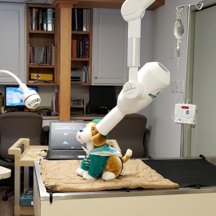 Owen Sound Veterinary Clinic | 102743 Grey County Rd 18, Owen Sound, ON N4K 5N6, Canada | Phone: (519) 371-1221