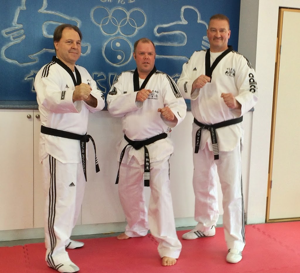 Laberge Taekwondo | 602 Bd Albiny Paquette, Mont-Laurier, QC J9L 1L5, Canada | Phone: (819) 616-2323