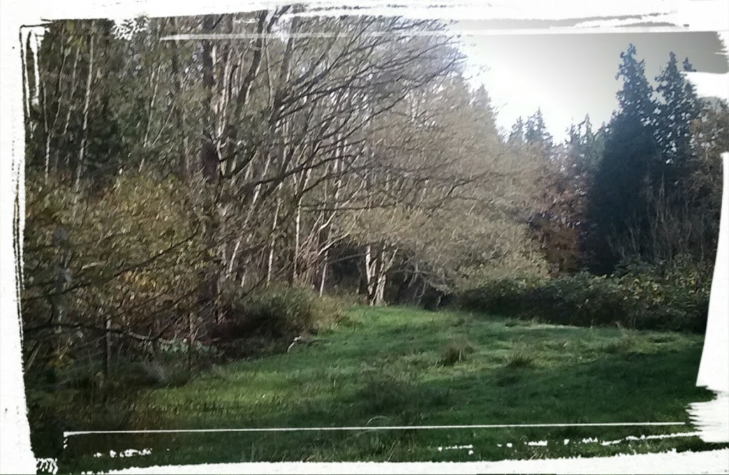 Diamond Lane Natural Resource Area | Sunshine Dr, Ferndale, WA 98248, USA