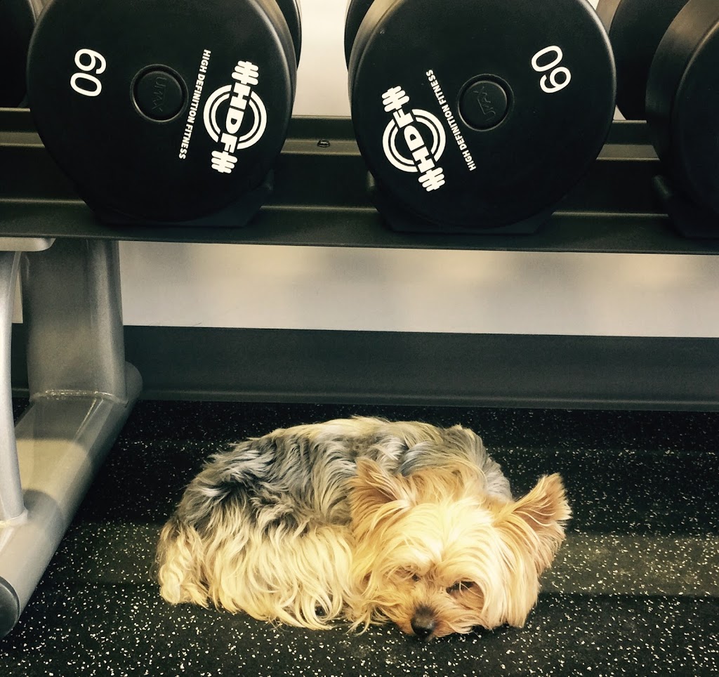 High Definition Fitness | 12726 St Albert Trail NW, Edmonton, AB T5L 4S5, Canada | Phone: (780) 695-6057