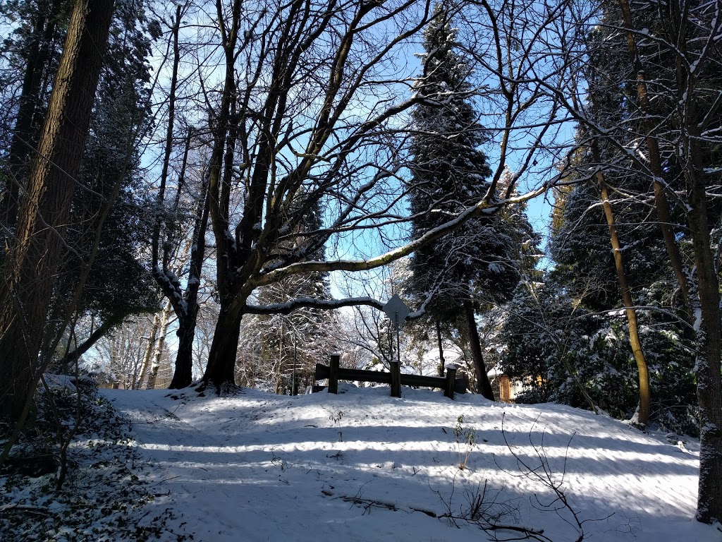 Ravine Park | 2159 W 36th Ave, Vancouver, BC V6M 1J2, Canada | Phone: (604) 257-8400