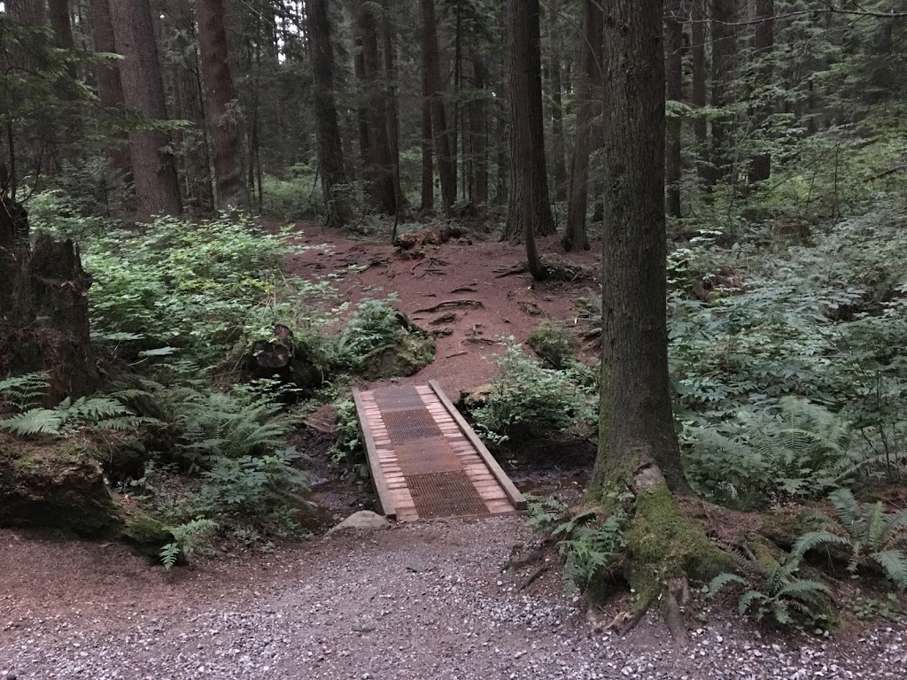 Riverview Forest | Coquitlam, BC V3C 5W7, Canada | Phone: (604) 927-3000