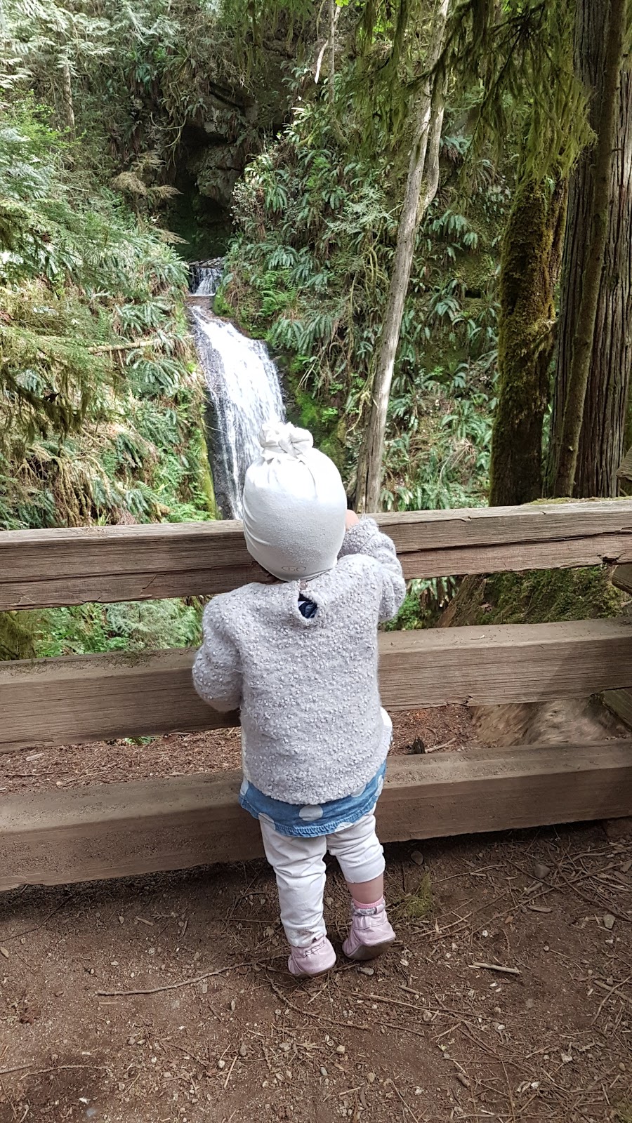 Burnett Falls Park | 5332 Burnett Rd, Sechelt, BC V0N 3A4, Canada