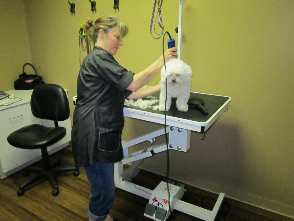 Back To The Bone Inc. | 495 Walkers Line, Burlington, ON L7N 2E3, Canada | Phone: (289) 337-4577