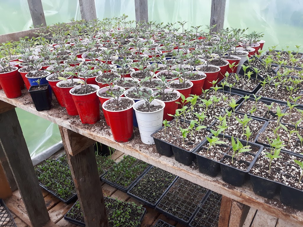 Granite Organic | 4159 Chester Rd, Windsor, NS B0N 2T0, Canada | Phone: (902) 448-5199