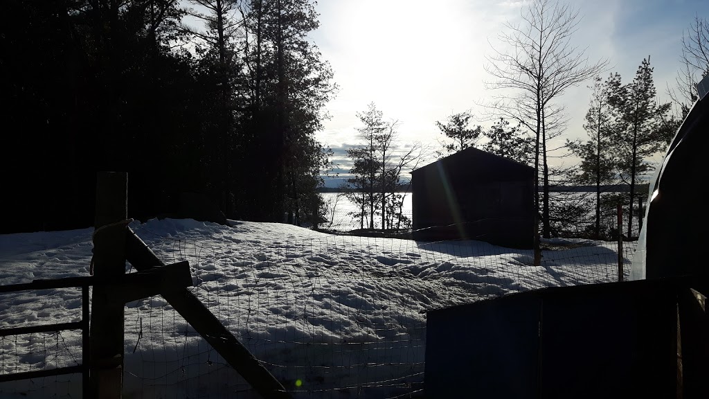 Camp Winston | 1147 River Ln, Kilworthy, ON P0E 1G0, Canada | Phone: (705) 689-9096