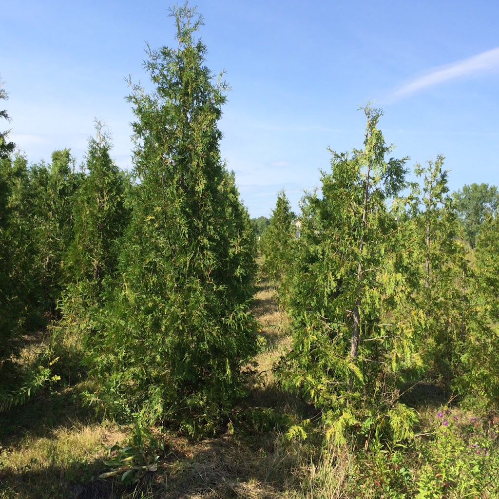 Gestions Jélyré Inc (Les) | 4190 Chem. Martin, Terrebonne, QC J6X 0B2, Canada | Phone: (450) 477-0556