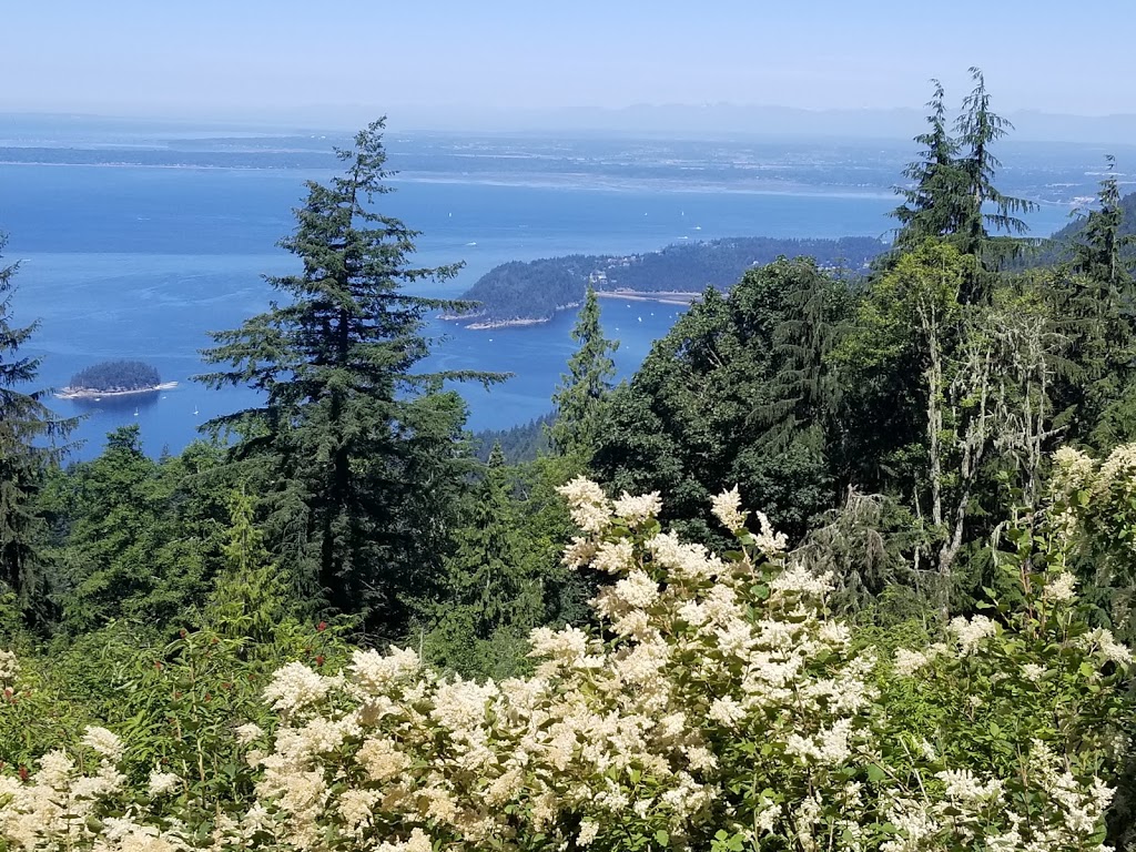 Cyrus Gates Overlook at Larrabee State Park | 224 Cleator Rd, Bellingham, WA 98229, USA | Phone: (360) 676-2093