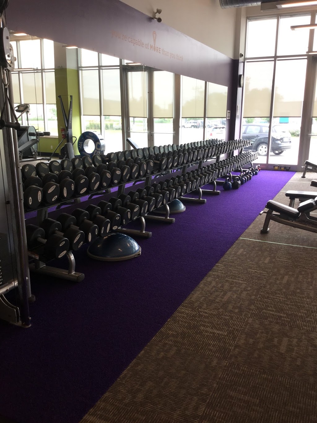 Anytime Fitness | 100 Pretty River Pkwy, Collingwood, ON L9Y 5A4, Canada | Phone: (705) 444-3481