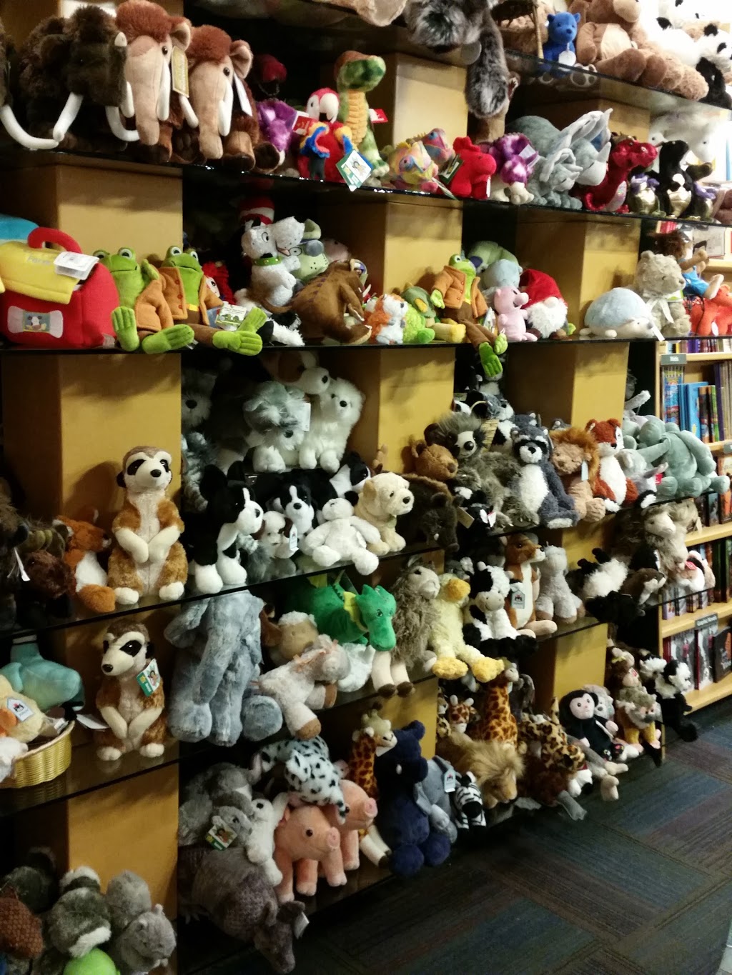McNally Robinson | 3130 8 St E, Saskatoon, SK S7H 0W2, Canada | Phone: (306) 955-3599