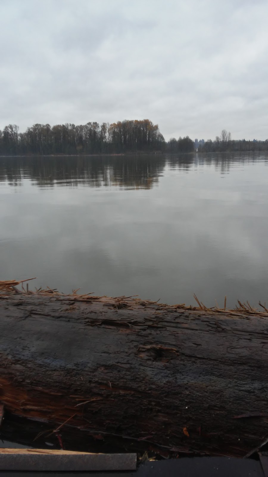 Halo Sawmill Ltd | 17700 Fraser Dyke Rd, Pitt Meadows, BC V3Y 1Z1, Canada | Phone: (604) 465-0682