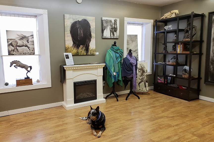 Garside Gallery & Debra Garside Photography | 134 Morrison Rd, Longview, AB T0L 1H0, Canada | Phone: (403) 617-0588