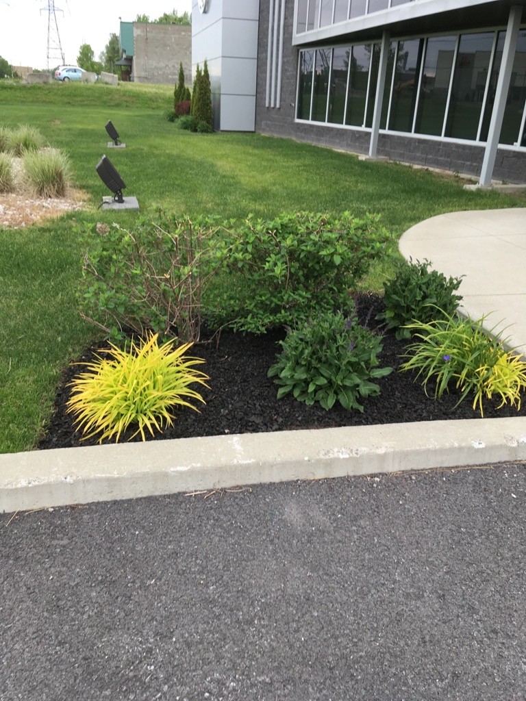 Extermination Allaire - Exterminateur rive sud et entretien pays | 32 Chemin Saint-François-Xavier, Saint-Mathieu, QC J0L 2H0, Canada | Phone: (514) 994-4045