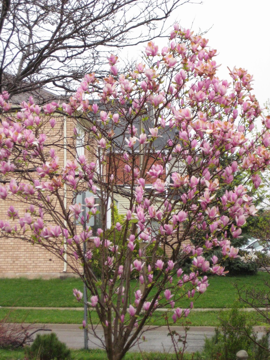 Marian Montessori School | 1265 Heritage Way, Oakville, ON L6M 2X7, Canada | Phone: (905) 827-8125
