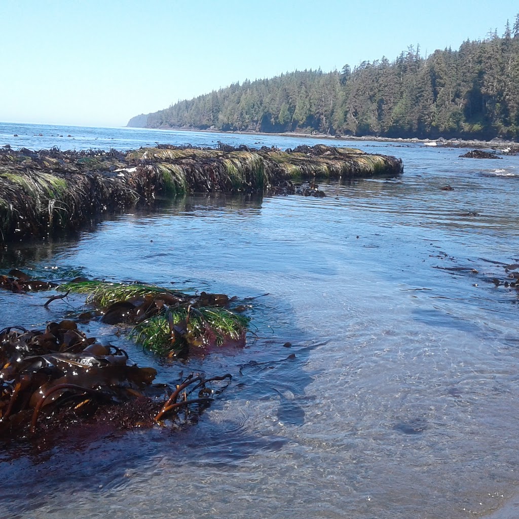 Mystic Beach Adventures | 6918 Grant Rd W, Sooke, BC V9Z 0P4, Canada | Phone: (250) 213-9597