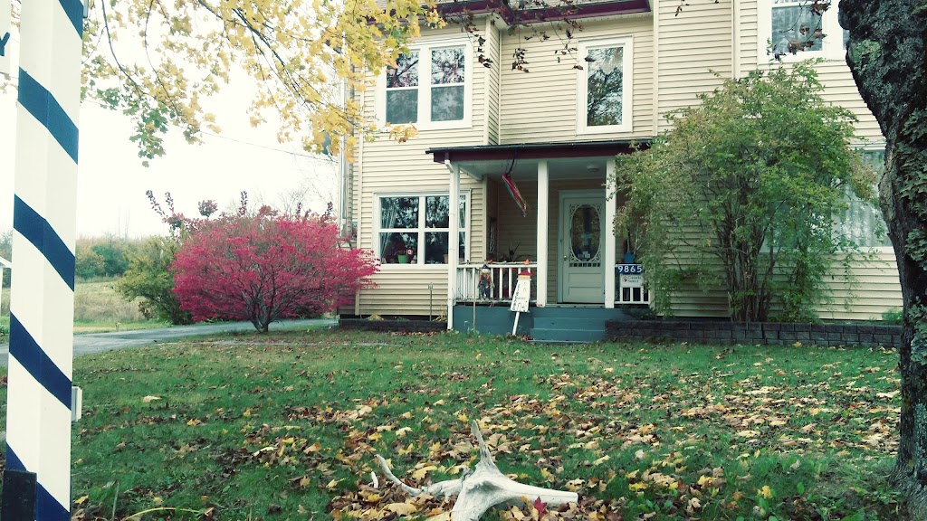 B&B Art of Germany | Region of Queens Municipality, NS B0T 1B0, Canada | Phone: (902) 682-2114