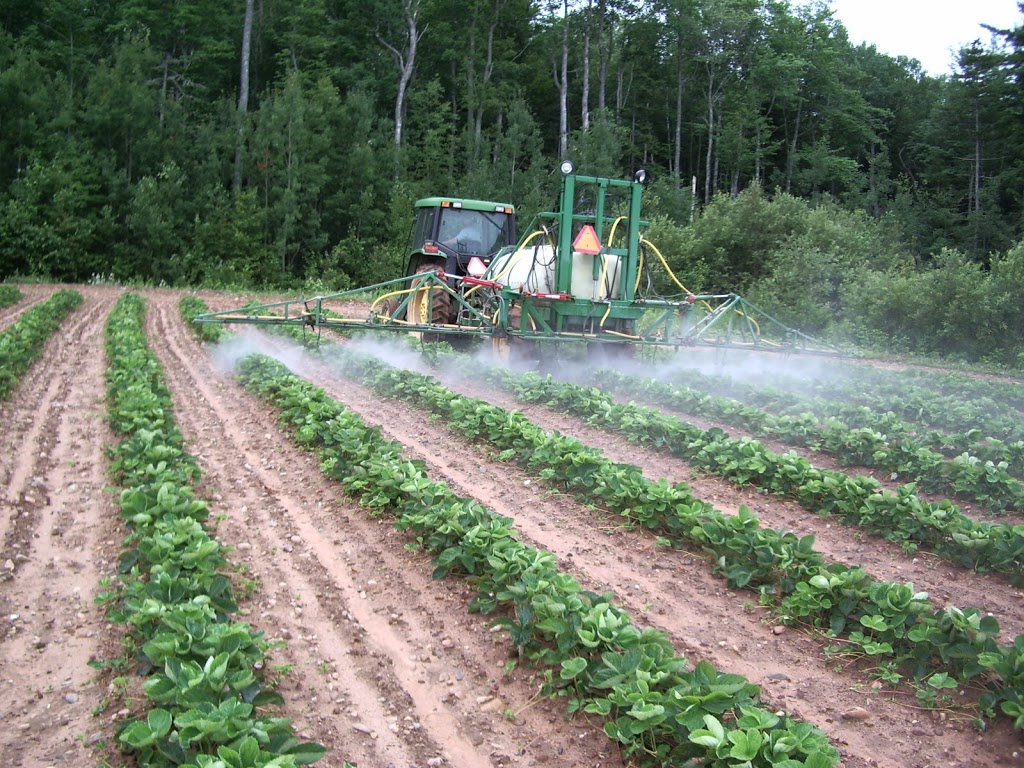 G W Allen Nursery Ltd | 7295 NS-221, Centreville, NS B0P 1J0, Canada | Phone: (902) 678-7519