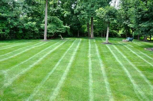 Simon’s Lawn Care | 10026 Florence St, St Thomas, ON N5P 4L7, Canada | Phone: (226) 270-6061