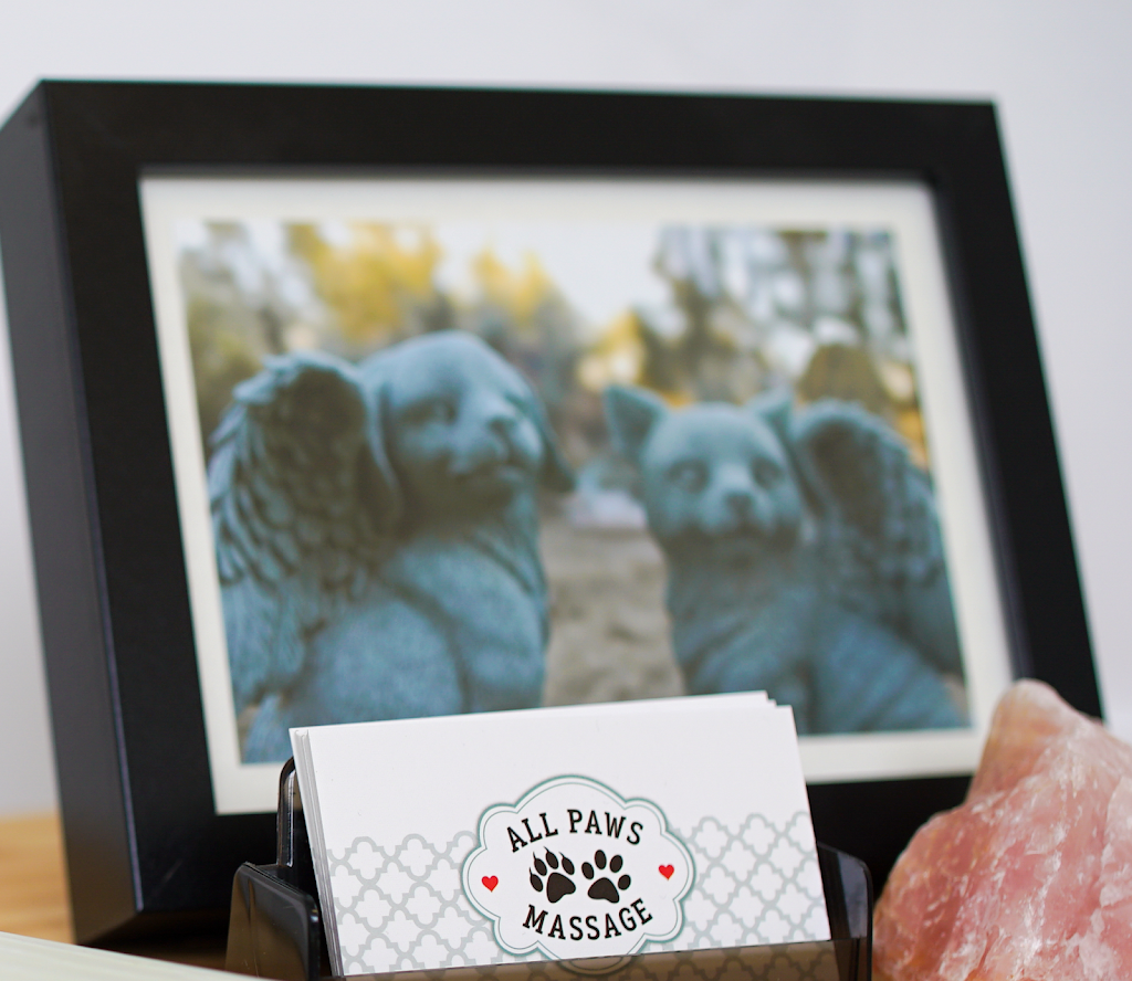All Paws Massage | Discover Dogs, 701 Kingsway, Vancouver, BC V5T 3K6, Canada | Phone: (604) 700-4107
