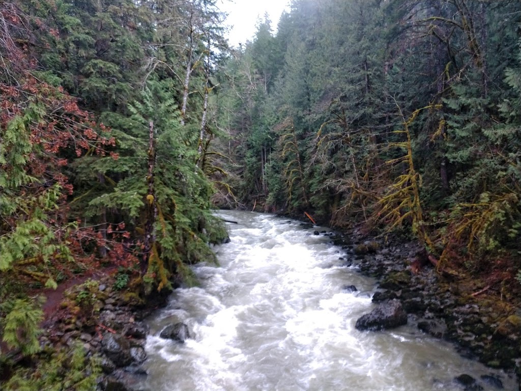 Excelsior Pass Trailhead | Mt Baker Hwy, Glacier, WA 98442, USA | Phone: (360) 856-5700