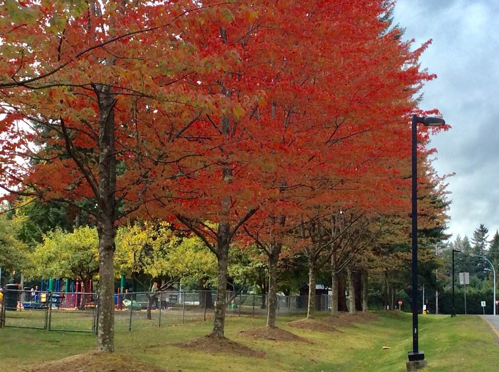 Beban Park Playground | Nanaimo, BC V9T 3K7, Canada | Phone: (250) 756-5200