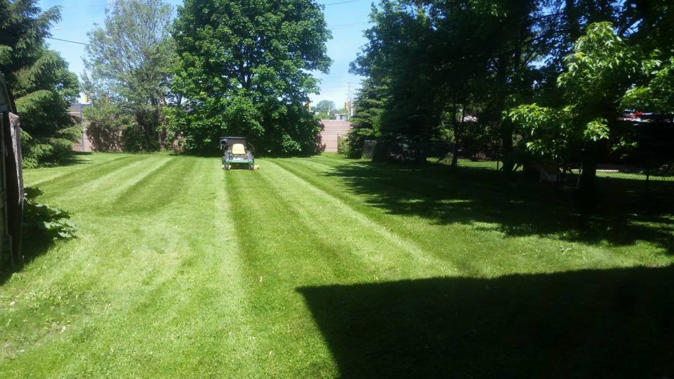 Wrobel Landscaping | 3425 Roe St, London, ON N6L 1R2, Canada | Phone: (226) 448-5449