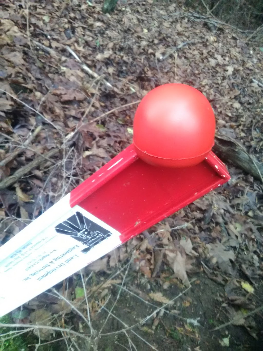 Diamond Lane Natural Resource Area | Sunshine Dr, Ferndale, WA 98248, USA