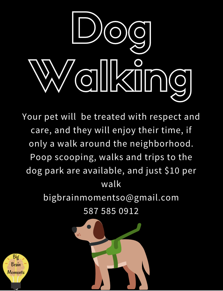 Big Brain Moments | 62 Crystal Shores Pl, Okotoks, AB T1S 2G3, Canada | Phone: (587) 585-0912